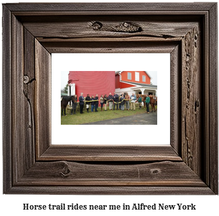 horse trail rides near me in Alfred, New York